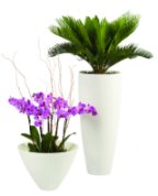 Natural Stone planters and vases